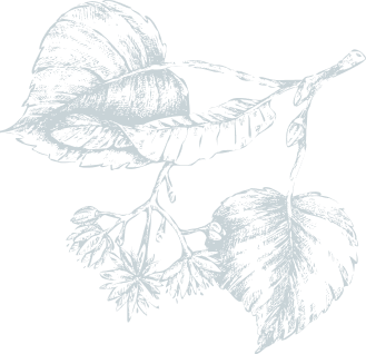 about-story-Vector-03.png